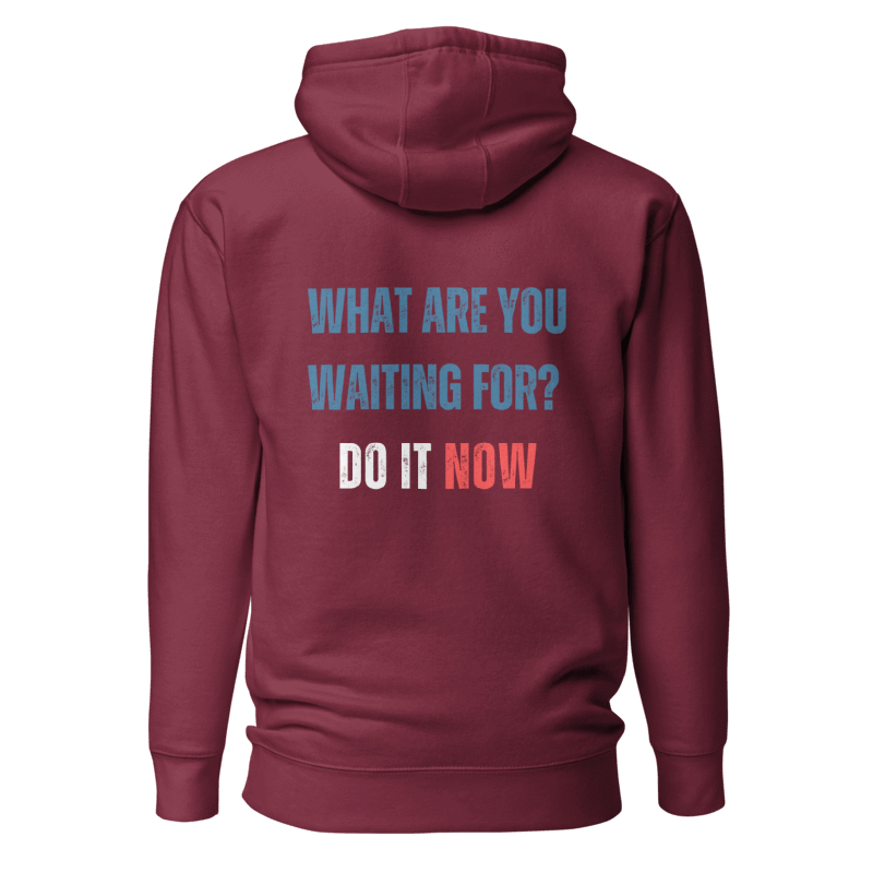 Unisex Premium Hoodie | WHAT ARE YOU WAITING FOR?