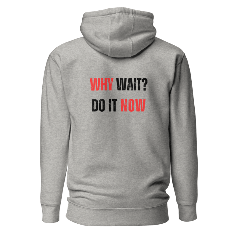 Unisex Premium Hoodie | WHY WAIT?
