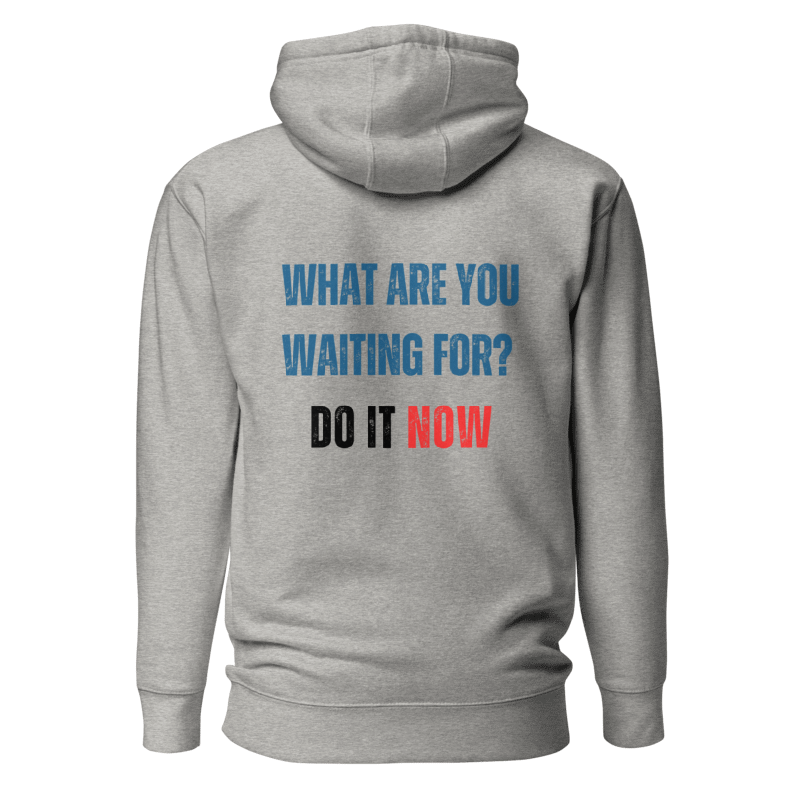 Unisex Premium Hoodie | WHAT ARE YOU WAITING FOR?