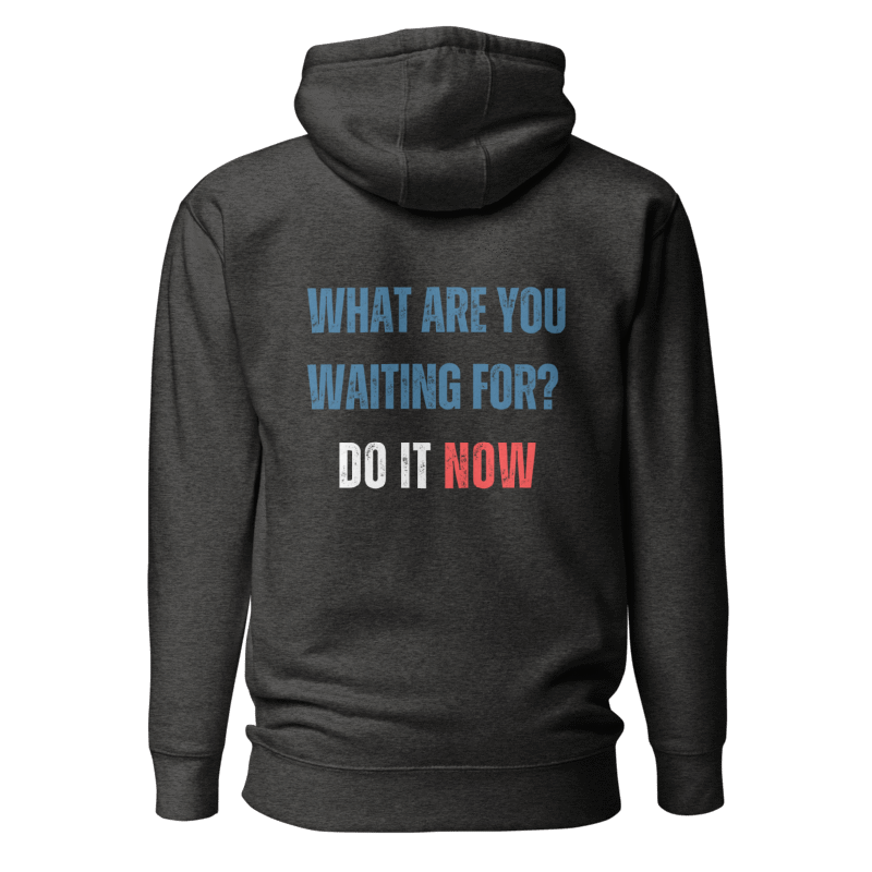 Unisex Premium Hoodie | WHAT ARE YOU WAITING FOR?