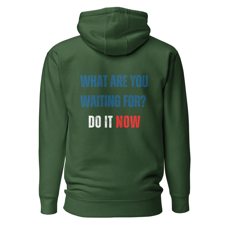 Unisex Premium Hoodie | WHAT ARE YOU WAITING FOR?