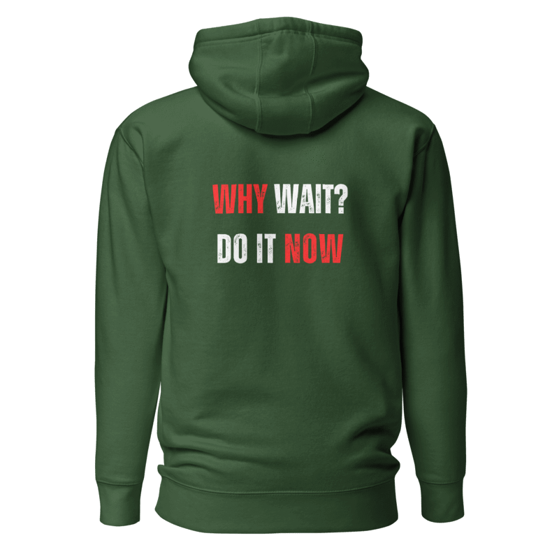 Unisex Premium Hoodie | WHY WAIT?