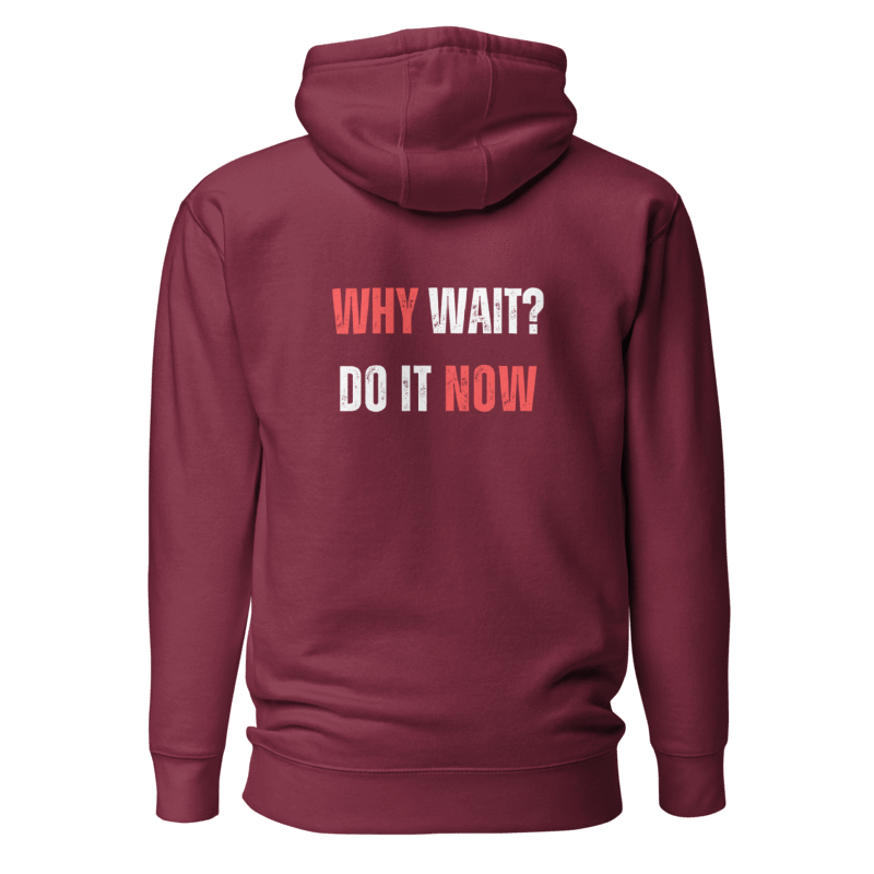 Unisex Premium Hoodie | WHY WAIT?