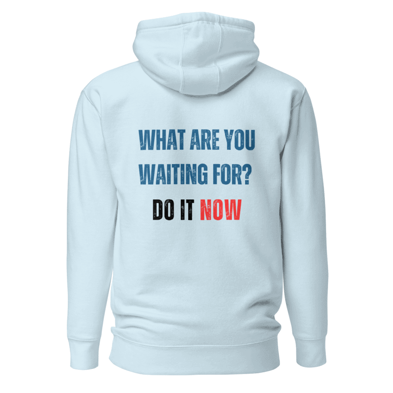 Unisex Premium Hoodie | WHAT ARE YOU WAITING FOR?